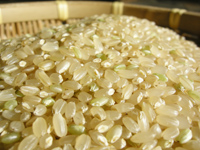 自然栽培米