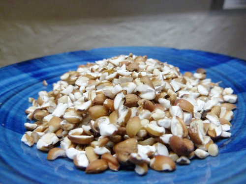 自然栽培はとむぎ